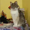 Отзыв от Наиля Куликова